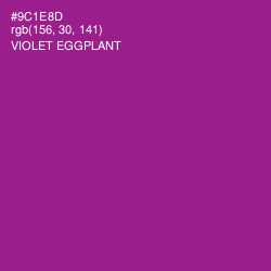 #9C1E8D - Violet Eggplant Color Image