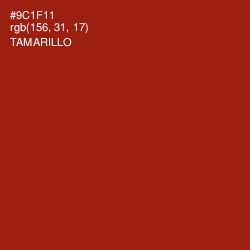 #9C1F11 - Tamarillo Color Image