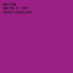 #9C1F86 - Violet Eggplant Color Image