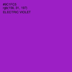 #9C1FC5 - Electric Violet Color Image