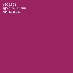 #9C2363 - Vin Rouge Color Image