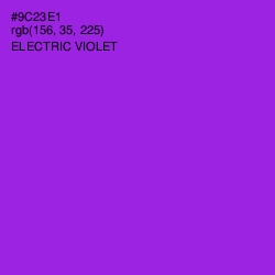 #9C23E1 - Electric Violet Color Image