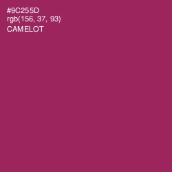#9C255D - Camelot Color Image