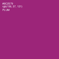 #9C2579 - Plum Color Image
