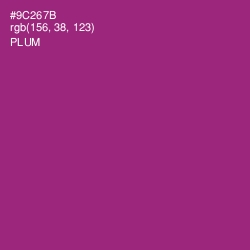 #9C267B - Plum Color Image