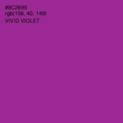 #9C2895 - Vivid Violet Color Image