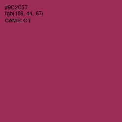 #9C2C57 - Camelot Color Image