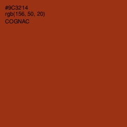 #9C3214 - Cognac Color Image