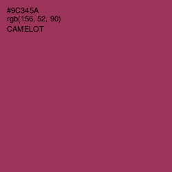 #9C345A - Camelot Color Image