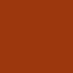 #9C360C - Cognac Color Image