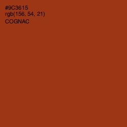 #9C3615 - Cognac Color Image