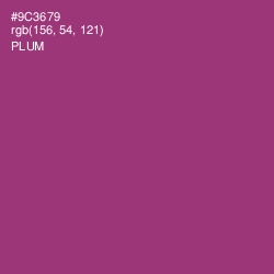 #9C3679 - Plum Color Image