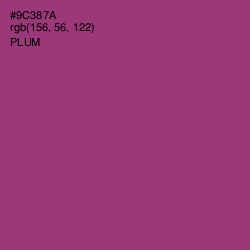 #9C387A - Plum Color Image