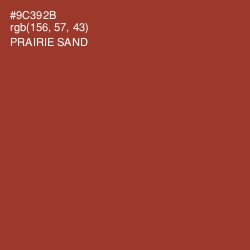 #9C392B - Prairie Sand Color Image