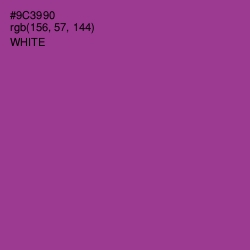 #9C3990 - Vivid Violet Color Image