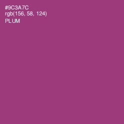 #9C3A7C - Plum Color Image