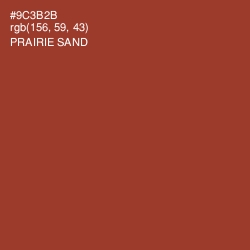 #9C3B2B - Prairie Sand Color Image