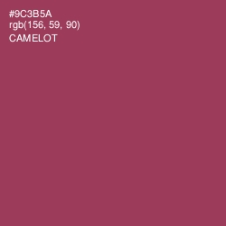 #9C3B5A - Camelot Color Image