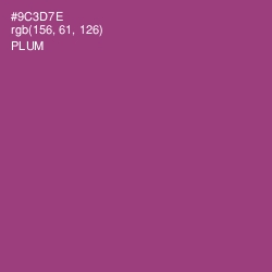 #9C3D7E - Plum Color Image