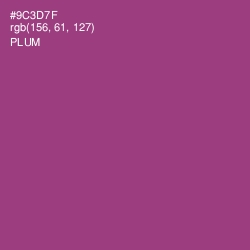 #9C3D7F - Plum Color Image