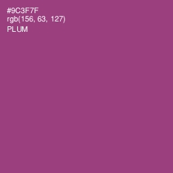 #9C3F7F - Plum Color Image