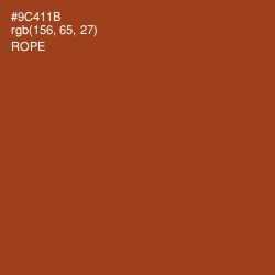 #9C411B - Rope Color Image