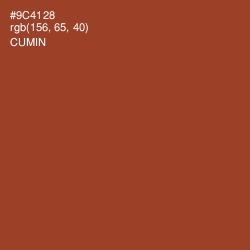 #9C4128 - Cumin Color Image