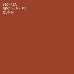 #9C412A - Cumin Color Image