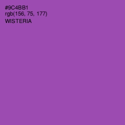 #9C4BB1 - Wisteria Color Image