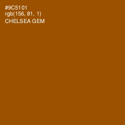 #9C5101 - Chelsea Gem Color Image