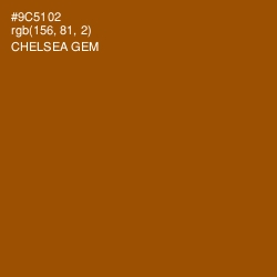 #9C5102 - Chelsea Gem Color Image