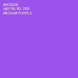 #9C53EB - Medium Purple Color Image