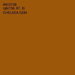#9C5708 - Chelsea Gem Color Image