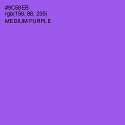 #9C58EB - Medium Purple Color Image