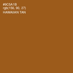 #9C5A1B - Hawaiian Tan Color Image