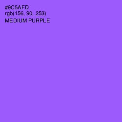 #9C5AFD - Medium Purple Color Image