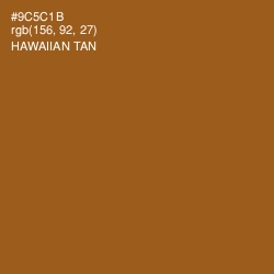 #9C5C1B - Hawaiian Tan Color Image