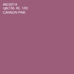#9C5D7A - Cannon Pink Color Image