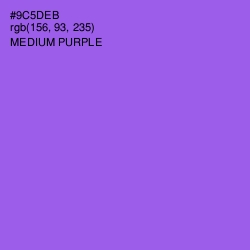 #9C5DEB - Medium Purple Color Image