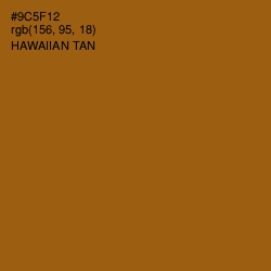 #9C5F12 - Hawaiian Tan Color Image