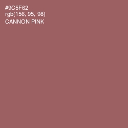 #9C5F62 - Cannon Pink Color Image