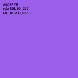 #9C5FEB - Medium Purple Color Image