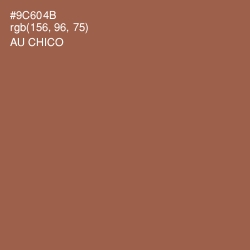 #9C604B - Au Chico Color Image