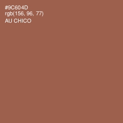 #9C604D - Au Chico Color Image