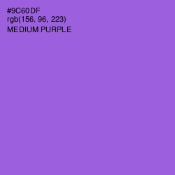 #9C60DF - Medium Purple Color Image