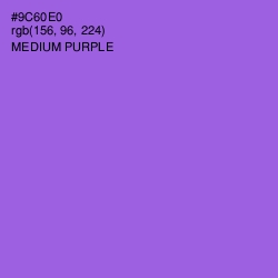 #9C60E0 - Medium Purple Color Image