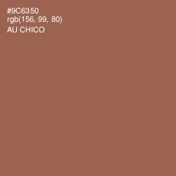 #9C6350 - Au Chico Color Image