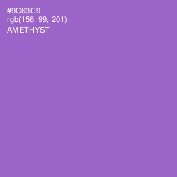 #9C63C9 - Amethyst Color Image