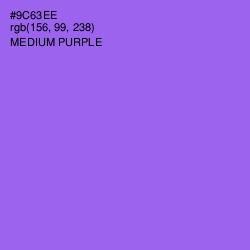 #9C63EE - Medium Purple Color Image