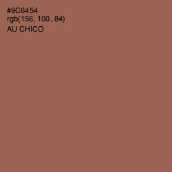 #9C6454 - Au Chico Color Image